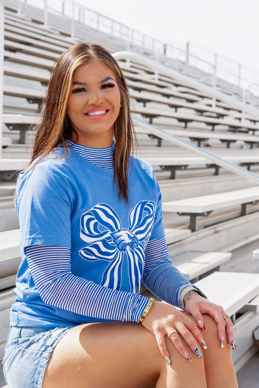 Royal Striped Mesh